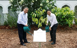 Tổng Bí thư, Chủ tịch nước Tô Lâm trồng cây tại Vườn Bách thảo Singapore