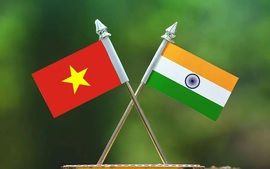 Đưa hợp tác thương mại, đầu tư Việt Nam - Ấn Độ sang giai đoạn mới