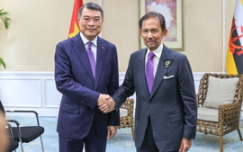 Thủ tướng Lê Minh Hưng hội kiến Quốc vương Brunei