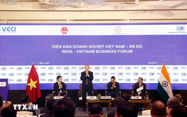 Tổng Bí thư, Chủ tịch nước Tô Lâm dự Diễn đàn doanh nghiệp Việt Nam - Ấn Độ