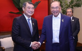 Thủ tướng Lê Minh Hưng gặp Thủ tướng Malaysia Anwar Ibrahim
