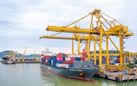 Logistics xanh: Cuộc chuyển đổi không thể chậm chân