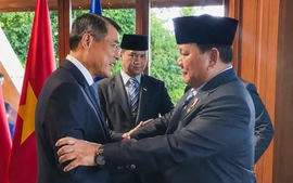 Thủ tướng Lê Minh Hưng gặp Tổng thống Indonesia