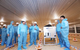 Dự án DHN Tây Ninh 2 - động lực mới cho ngành chăn nuôi công nghệ cao