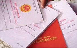 Đổi Giấy chứng nhận đất nông nghiệp, có phải chuyển sang thuê đất?