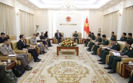 Phó Thủ tướng, Bộ trưởng Bộ Quốc phòng Phan Văn Giang tiếp Phó Ngoại trưởng Hoa Kỳ