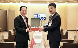 Phó Thủ tướng Lê Tiến Châu tiếp Chủ tịch kiêm Giám đốc điều hành Tập đoàn Nikkei