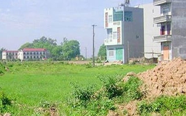 Căn cứ và thẩm quyền cho phép chuyển mục đích sử dụng đất