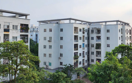 Nhà ở cho thuê: Kiến tạo để đột phá