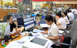 Đơn vị chỉ có nguồn thu phí khi nào được trích lập quỹ?