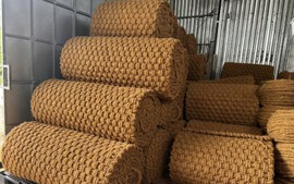 Hành trình đưa phụ phẩm nông nghiệp thành tài nguyên xanh tỷ đô