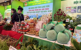 Nông sản Việt minh bạch nguồn gốc bước ra thị trường quốc tế