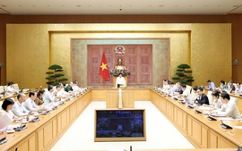 Thực hiện Công điện 38: Gian nan 'cuộc chiến bản quyền'