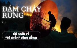 Đám cháy rừng và lời nhắc về ‘lá chắn’ cộng đồng