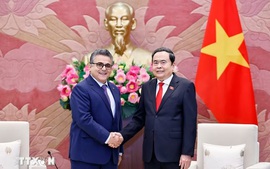Thúc đẩy quan hệ truyền thống, hợp tác hữu nghị giữa Việt Nam và Palestine