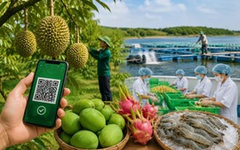 Chế biến sâu và chuyển đổi số: Động lực tăng trưởng mới trong thương mại nông sản Việt Nam - Trung Quốc
