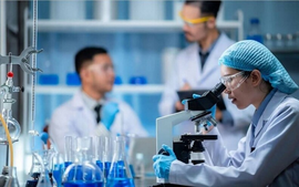 Thu nhập từ nghiên cứu khoa học có được miễn thuế thu nhập cá nhân?