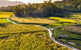 Làm gì để gìn giữ và phát huy giá trị văn hóa làng xứ Quảng?