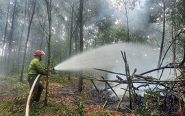 Quyết liệt triển khai các biện pháp cấp bách về
phòng cháy, chữa cháy rừng