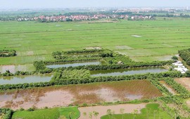 Điều kiện, thủ tục, tiền sử dụng đất khi chuyển đất ruộng thành đất ở