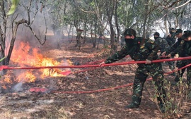 Hàng trăm cán bộ, chiến sĩ chữa cháy rừng phòng hộ ở Quảng Trị