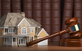 Cơ chế, chính sách đặc thù gỡ khó trong triển khai đấu giá tài sản trực tuyến