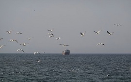IMO nối lại chiến dịch giải cứu thủy thủ mắc kẹt tại eo biển Hormuz