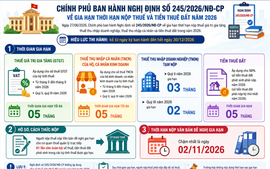 Cục Thuế yêu cầu triển khai ngay nghị định gia hạn thuế trên toàn quốc