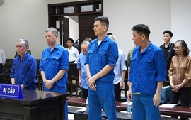 Tuyên giảm nhẹ hình phạt cho nhiều cựu lãnh đạo VICEM