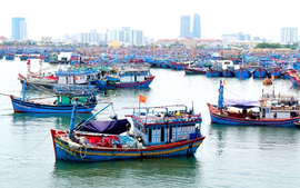 Phạt tối đa 2 tỷ đồng với hành vi vi phạm hành chính lĩnh vực thủy sản