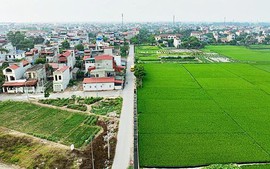 Đất lúa cạnh khu dân cư có được chuyển sang đất ở?