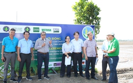 Vùng liên kết: 'Đầu kéo' mới cho Đề án 1 triệu ha lúa chất lượng cao ở ĐBSCL