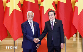 Tạo điều kiện thuận lợi cho việc triển khai thỏa thuận hợp tác giữa Việt Nam và Timor-Leste