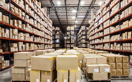 Đề xuất hướng dẫn thực hiện đấu thầu theo các Hiệp định CPTPP, EVFTA, UKVFTA