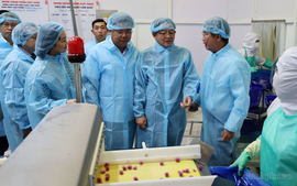 Xây dựng chuỗi liên kết bền vững, nâng cao giá trị nông sản và thủy sản Việt Nam