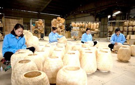 Dự kiến mức chi hoạt động khuyến công