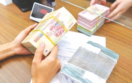 Quy định về hoạt động bảo hiểm tiền gửi