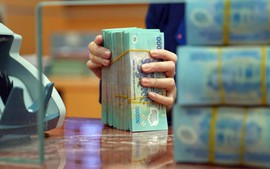 Bổ sung 5.000 tỷ đồng vốn điều lệ cho Ngân hàng Hợp tác xã Việt Nam