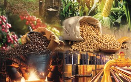 THỊ TRƯỜNG HÀNG HÓA: Giá dầu và kim loại quý đồng loạt tăng, MXV-Index vượt mốc 2.700 điểm