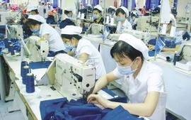Chế độ thai sản khi tham gia BHXH bắt buộc