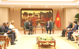 Đại tướng Phan Văn Giang tiếp Bộ trưởng, Tổng Thư ký Chính phủ Mauritania