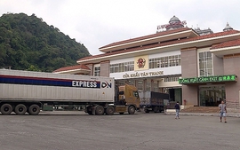 Xuất khẩu nông sản được ưu tiên, hải quan thông quan cả ngoài giờ