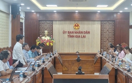 EVNNPT và ADB thẩm định tài trợ vốn ODA cho dự án đường dây 500 kV Bình Định - Krông Buk