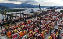 THUẾ QUAN HOA KỲ: Brazil sẵn sàng đáp trả