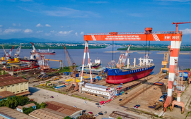 Giải thể Ban chỉ đạo tái cơ cấu Tổng công ty Công nghiệp tàu thủy