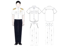 Quy định mới về phù hiệu, cấp hiệu, trang phục và biển hiệu của công chức thuế