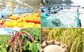 Xuất khẩu nông, lâm, thủy sản tăng hơn 10% so với cùng kỳ
