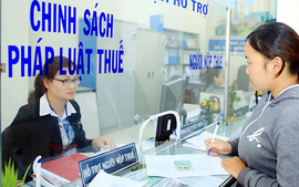 Thông đồng, bao che người nộp thuế nhằm ngăn cản cơ quan thuế xác minh thông tin bị phạt tới 100 triệu đồng