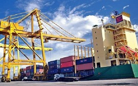 Việt Nam cấm nhập khẩu hàng hóa được sản xuất bởi hành vi cưỡng bức lao động