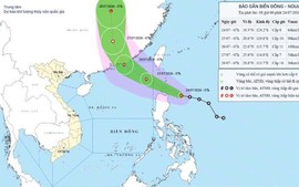 Chủ động ứng phó bão gần biển Đông